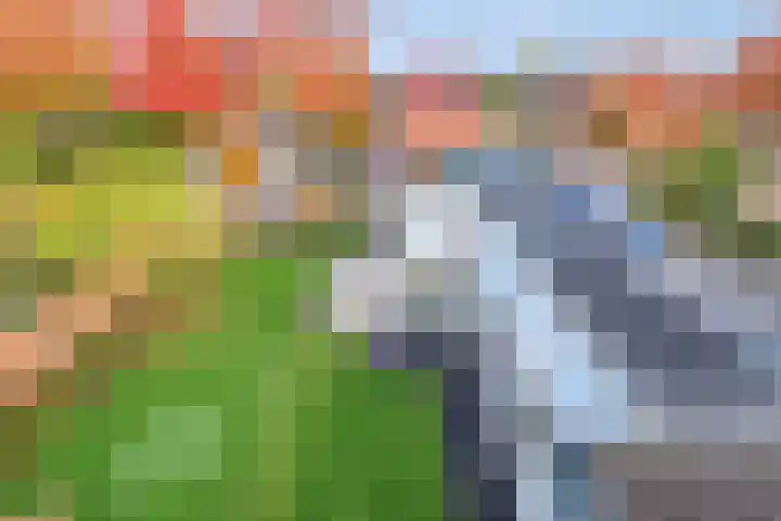 Heisprong 4 Prinsenbeek thumbnail 26