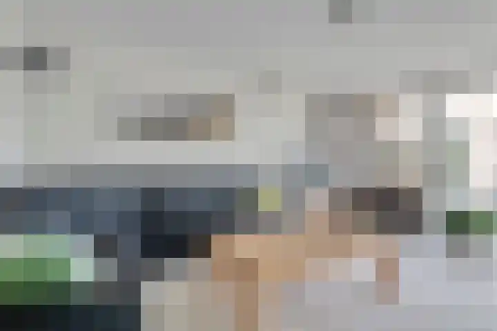 Heisprong 4 Prinsenbeek thumbnail 28