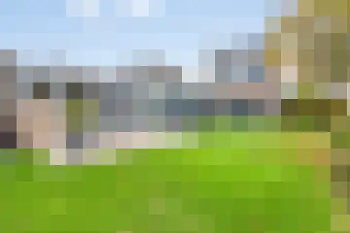 Heisprong 4 Prinsenbeek thumbnail 34