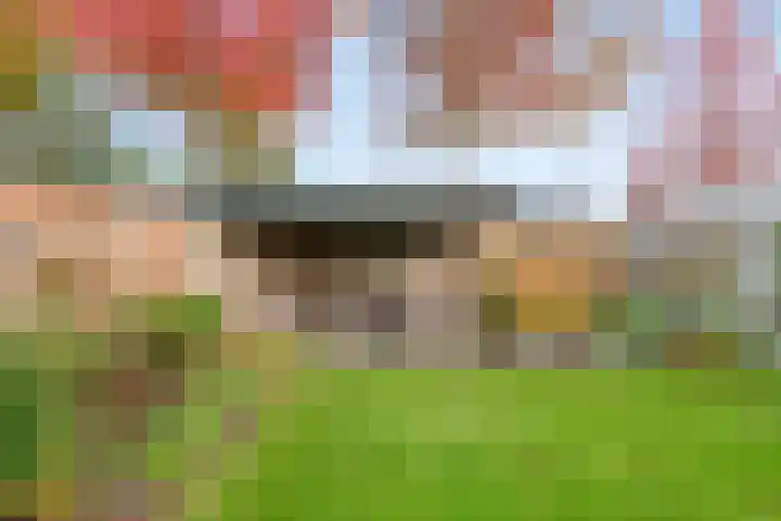 Heisprong 4 Prinsenbeek thumbnail 39