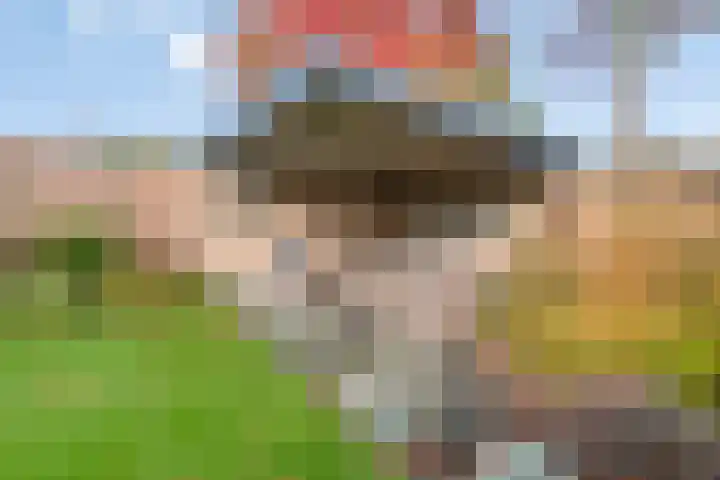 Heisprong 4 Prinsenbeek thumbnail 40
