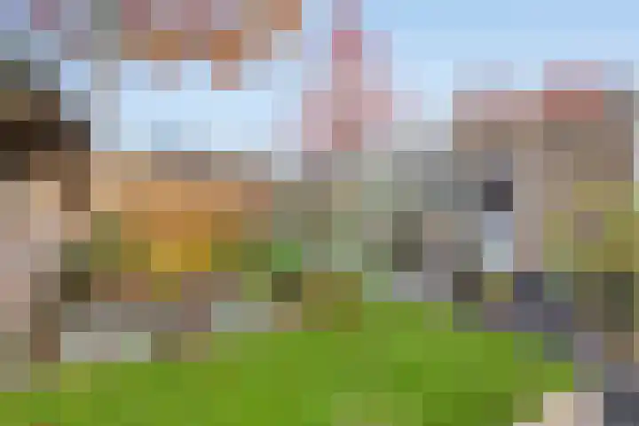Heisprong 4 Prinsenbeek thumbnail 41