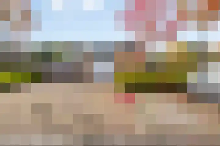Heisprong 4 Prinsenbeek thumbnail 44
