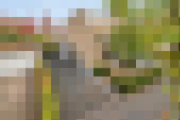 Heisprong 4 Prinsenbeek thumbnail 45