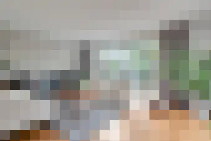 Heisprong 4 Prinsenbeek thumbnail 6