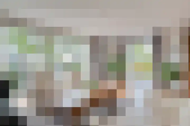 Heisprong 4 Prinsenbeek thumbnail 7