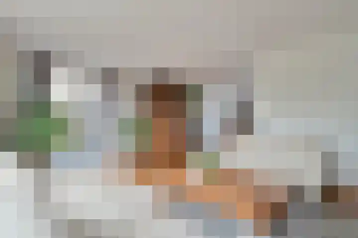 Heisprong 4 Prinsenbeek thumbnail 8