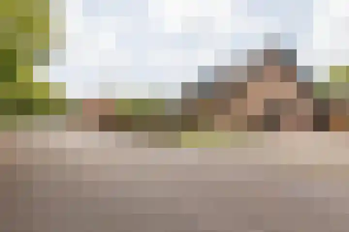 Heisteeg 109 Stein foto 2