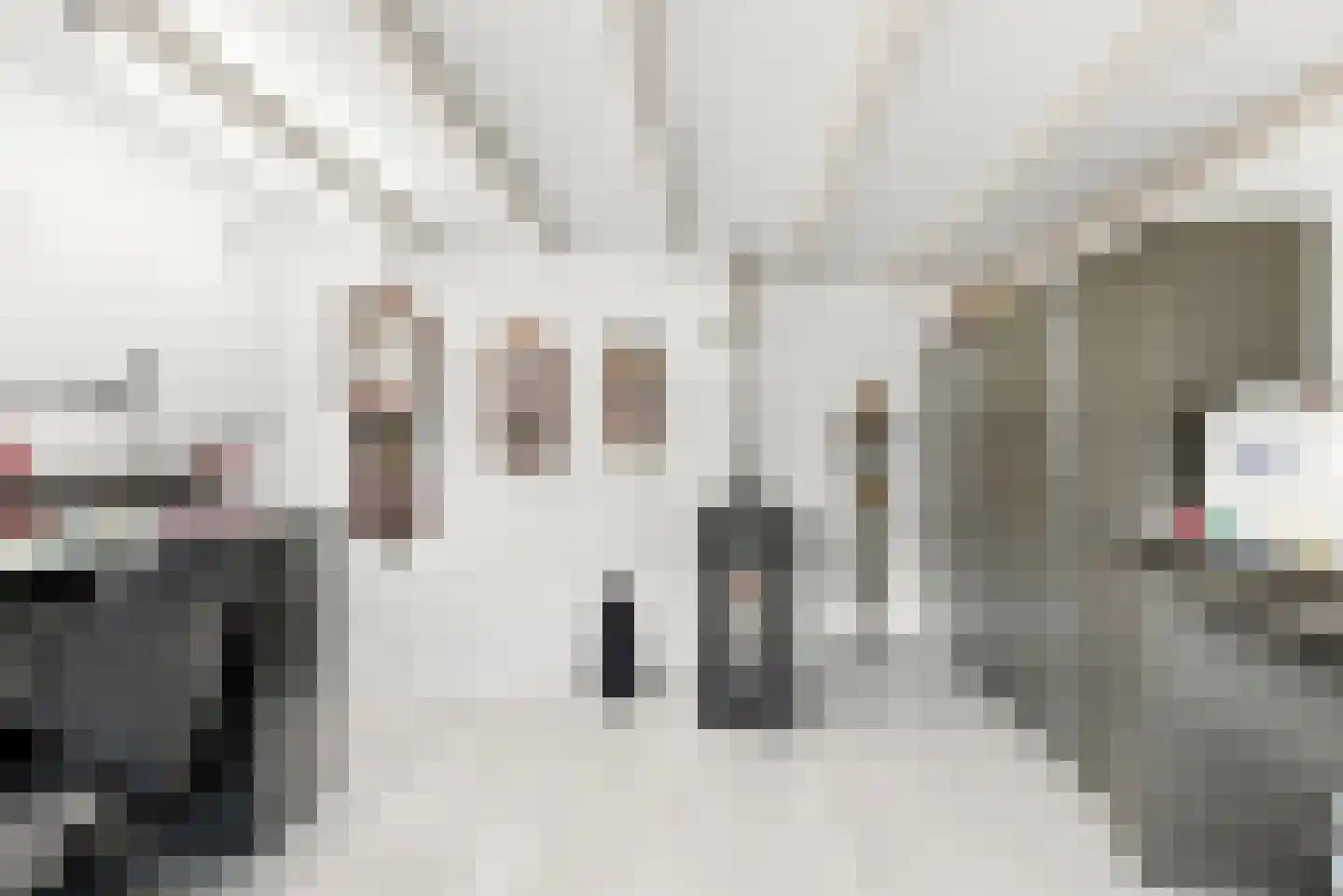 Heisteeg 111 Stein thumbnail 23