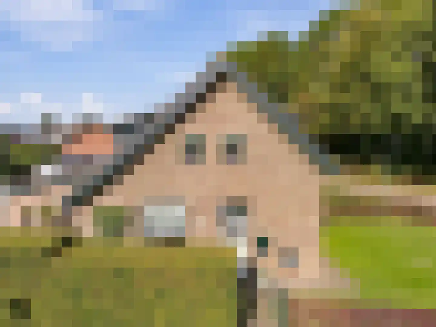 Heisteeg 111 Stein thumbnail 5