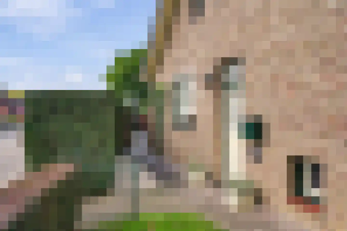 Heisteeg 111 Stein thumbnail 6