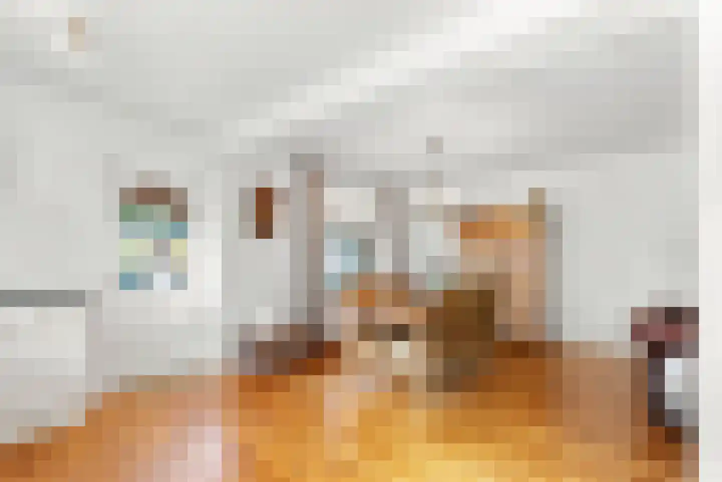 Heisteeg 111 Stein thumbnail 8