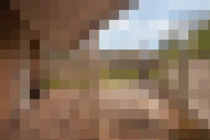 Heisteeg 115 Stein thumbnail 17