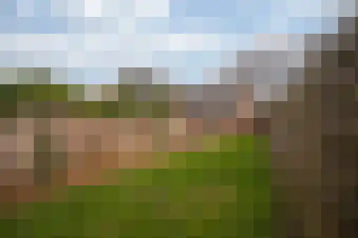 Heisteeg 115 Stein thumbnail 18