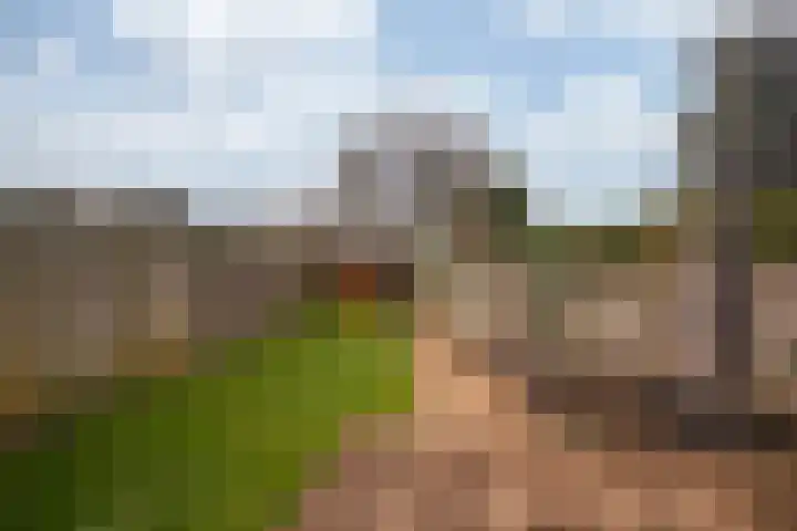 Heisteeg 115 Stein thumbnail 19