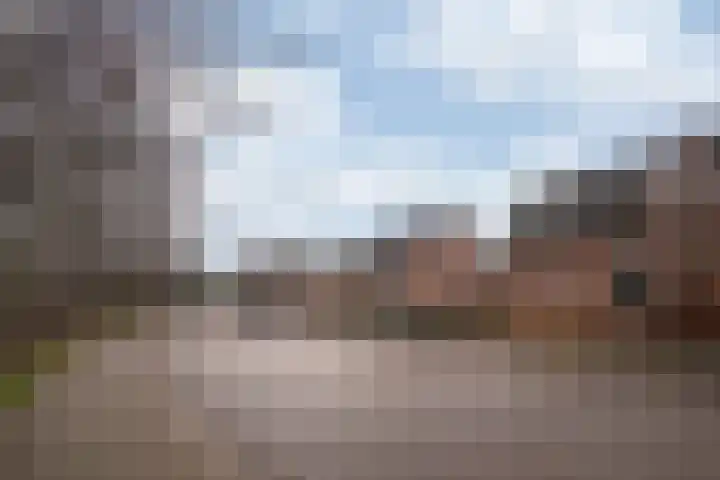 Heisteeg 115 Stein thumbnail 20