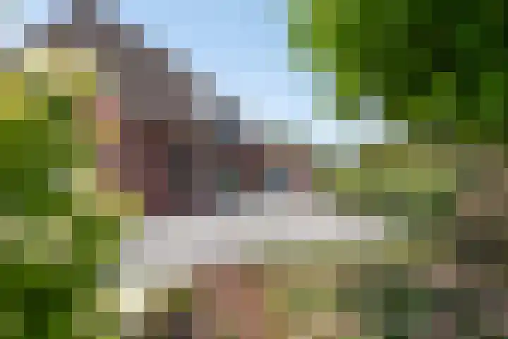 Heisteeg 12 Riel thumbnail 12
