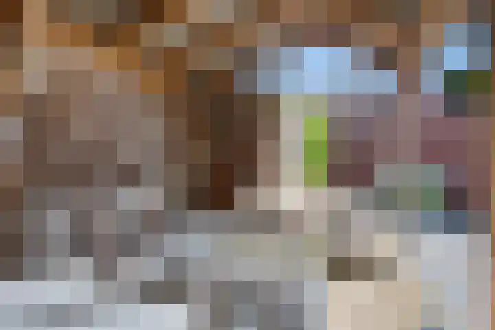 Heisteeg 12 Riel thumbnail 61