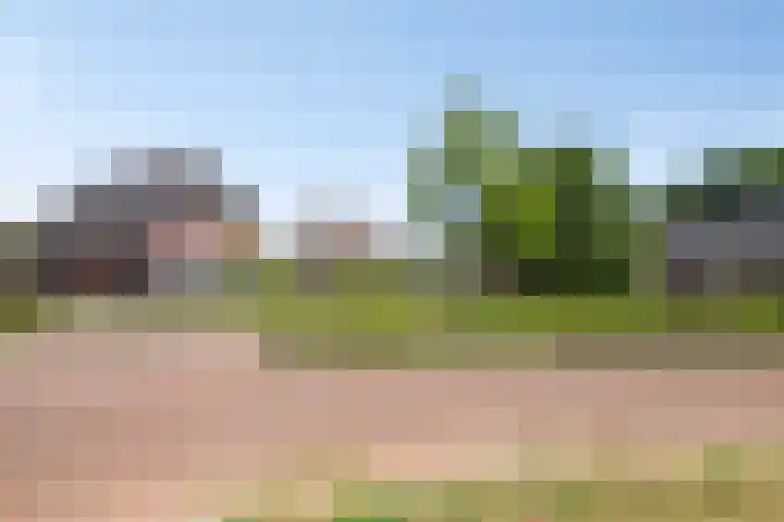 Heisteeg 12 Riel thumbnail 9