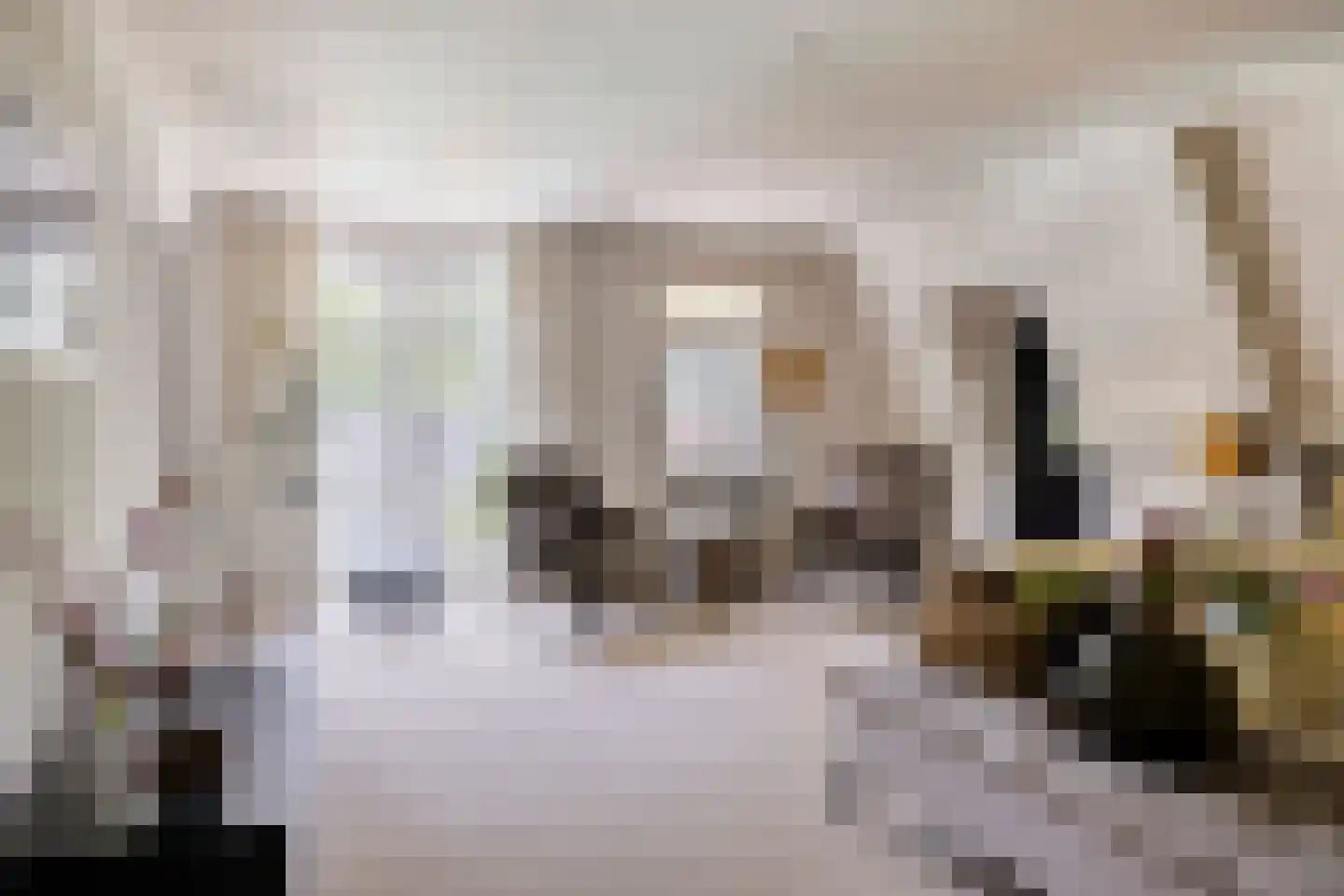 Heisteeg 16 Oisterwijk thumbnail 22
