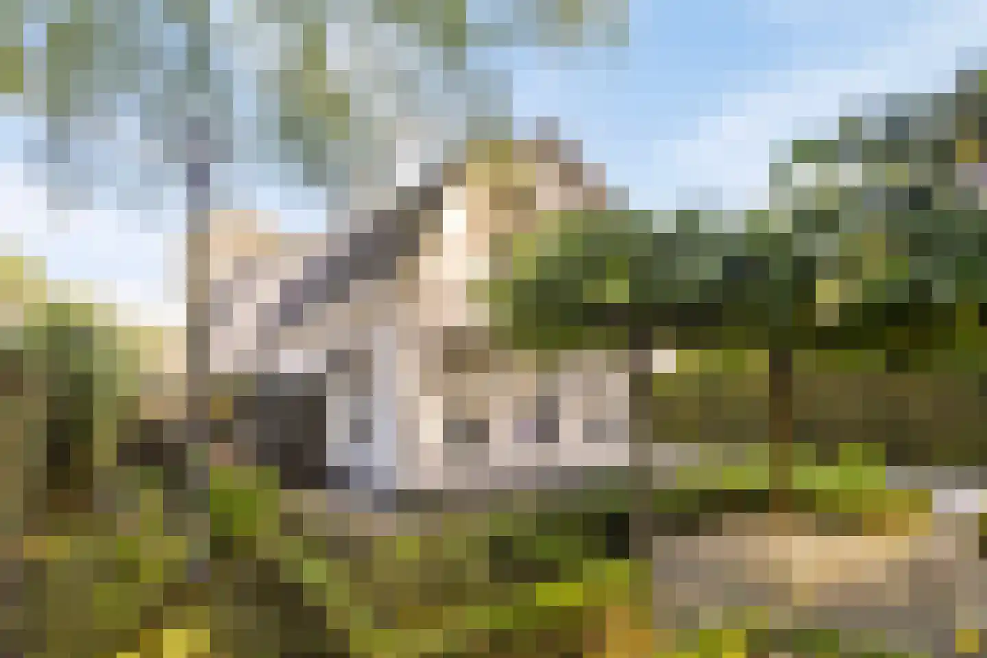 Heisteeg 16 Oisterwijk thumbnail 37
