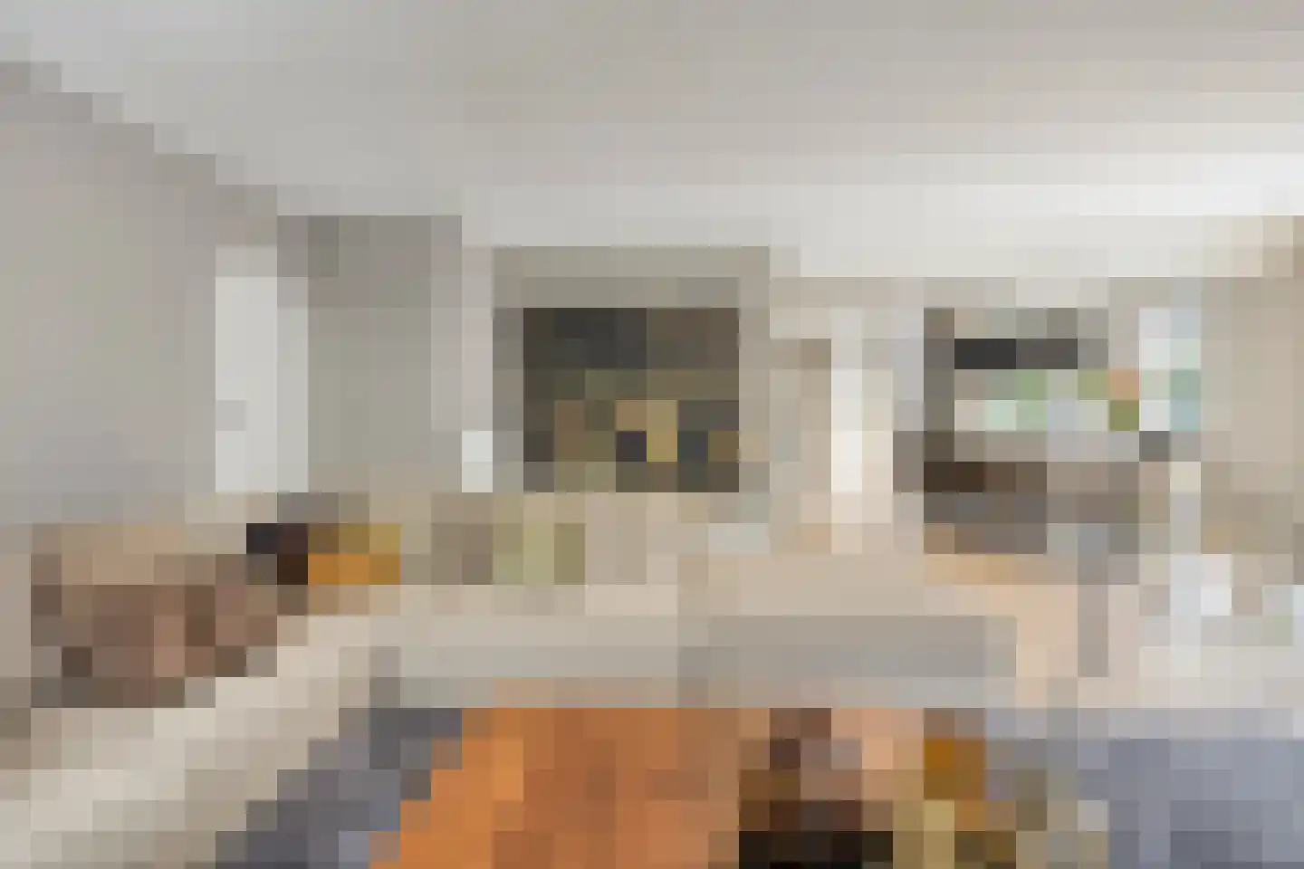 Heisteeg 16 Oisterwijk thumbnail 8