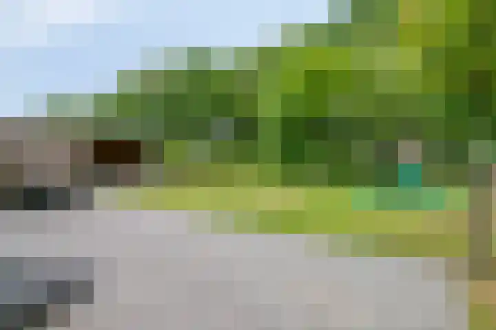 Heisteeg 35 Riel thumbnail 10