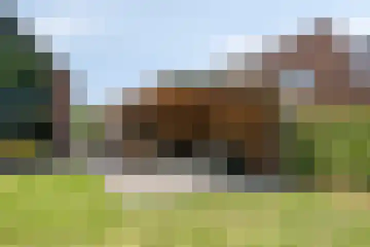 Heisteeg 35 Riel thumbnail 67