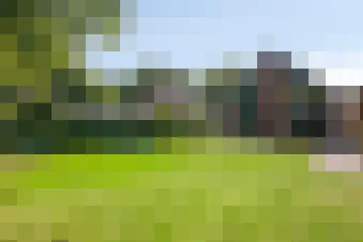Heisteeg 35 Riel thumbnail 68