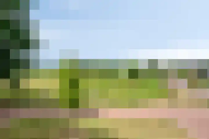 Heisteeg 35 Riel thumbnail 7