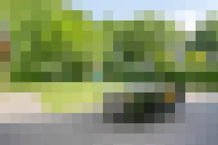 Heisteeg 35 Riel thumbnail 70