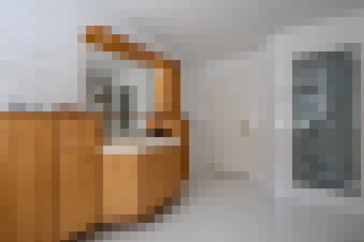 Heisteeg 6 Oisterwijk thumbnail 31