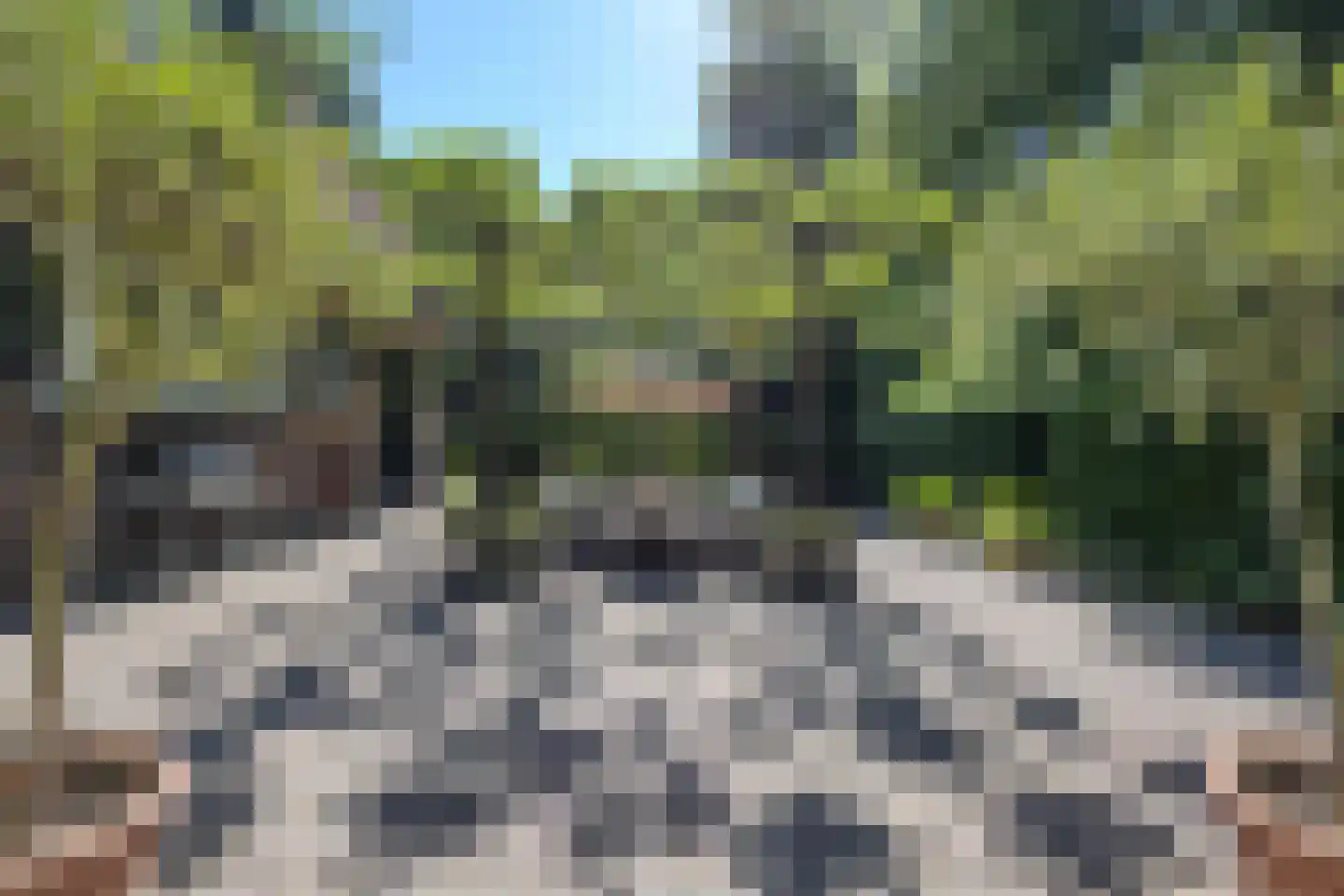 Heisteeg 6 Oisterwijk thumbnail 34