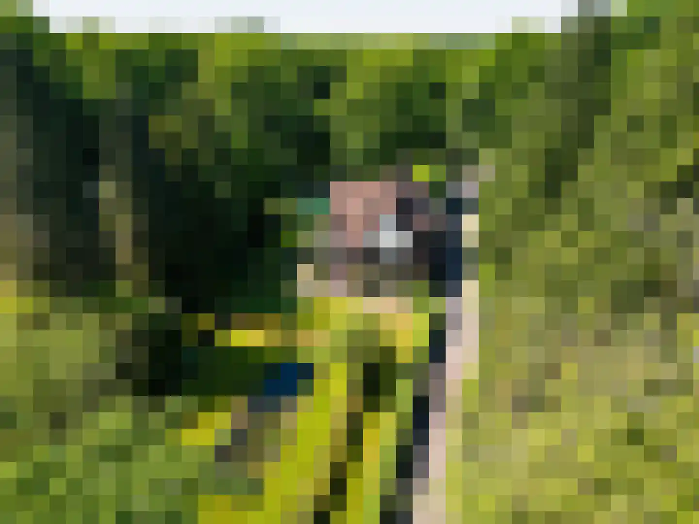 Heisteeg 6 Oisterwijk thumbnail 39