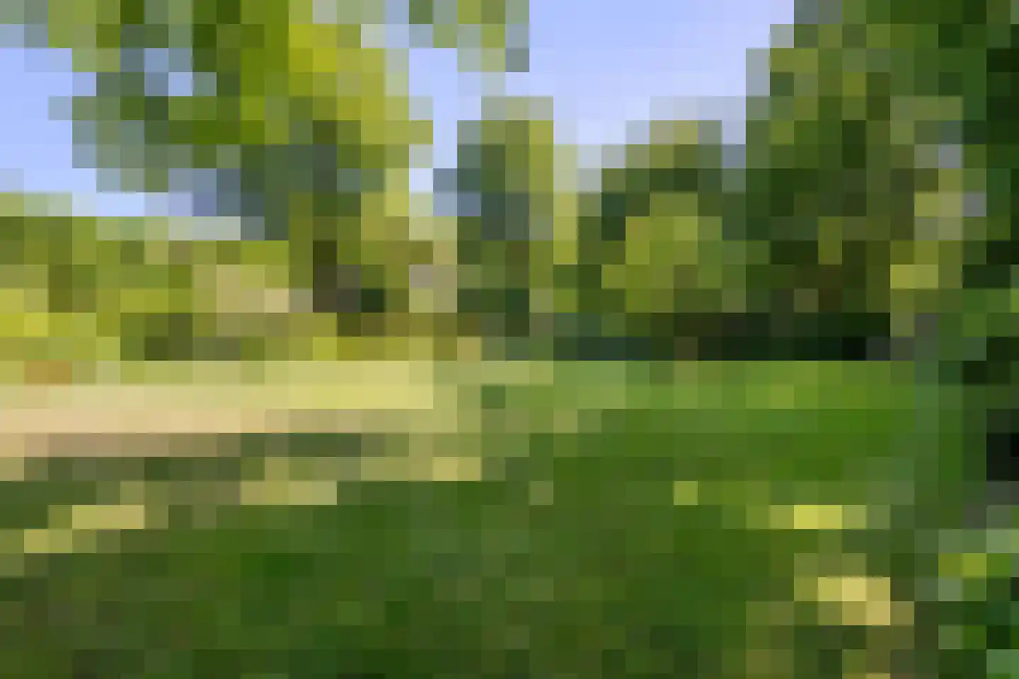 Heisteeg 6 Oisterwijk thumbnail 5