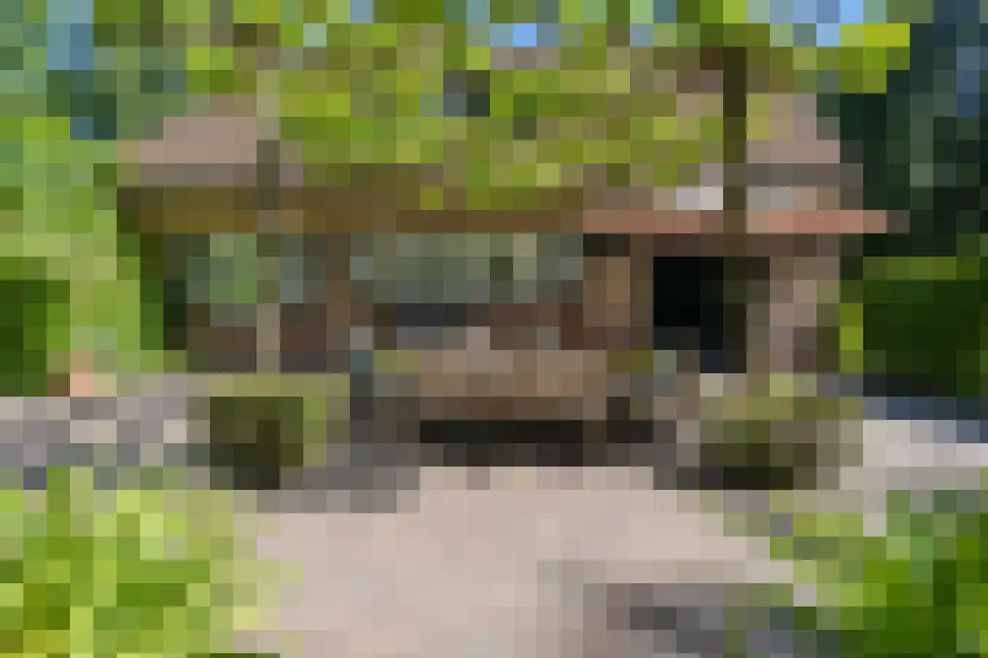 Heisteeg 6 Oisterwijk thumbnail 6