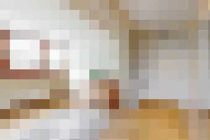 Heisteeg 83 Stein thumbnail 17