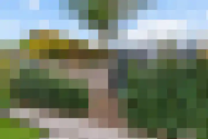 Heisteeg 83 Stein thumbnail 25