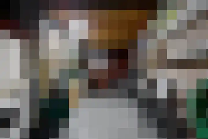 Heisteeg 83 Stein thumbnail 31