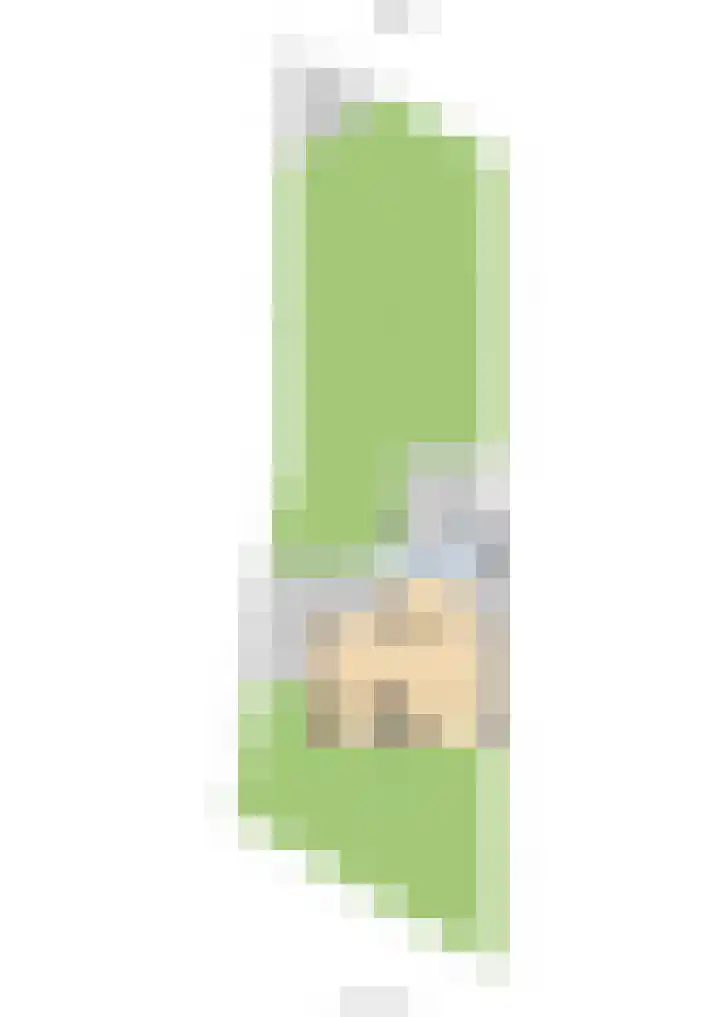 Heisteeg 83 Stein thumbnail 37