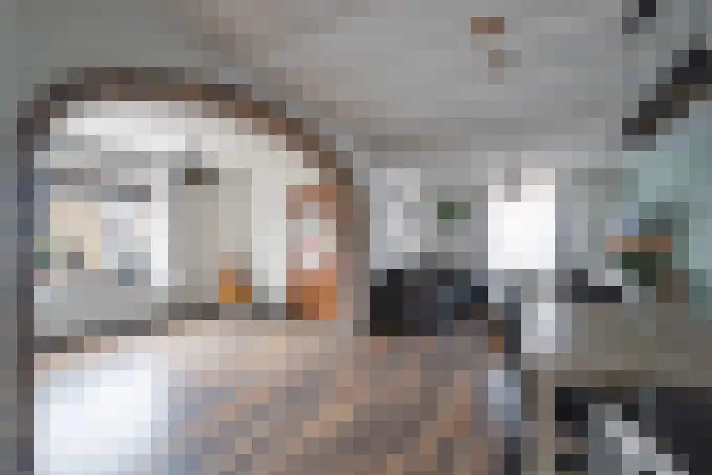 Heisteeg 85 Stein thumbnail 5