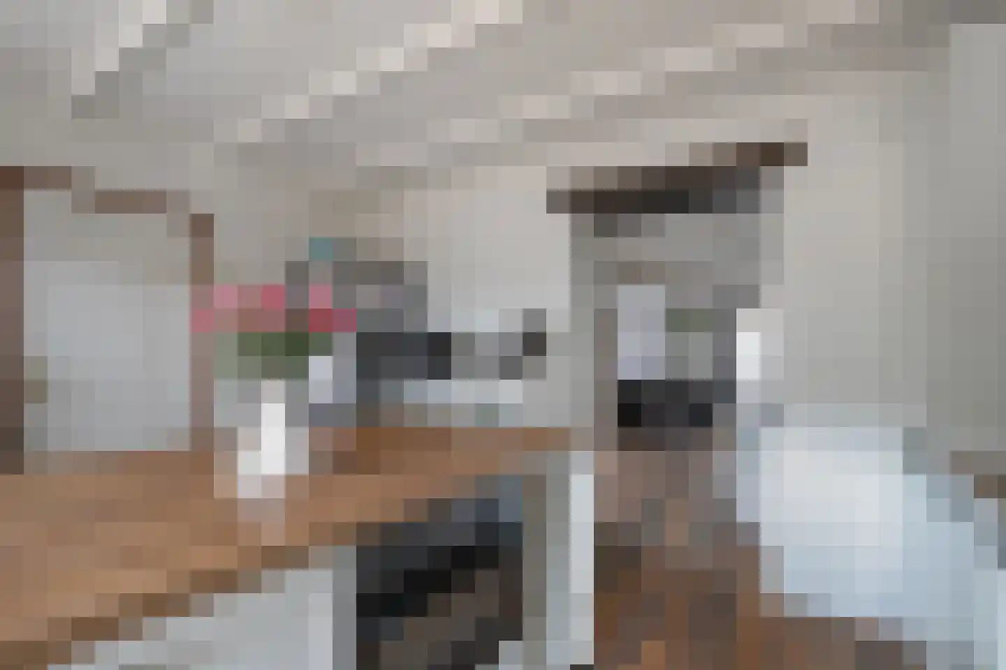Heisteeg 85 Stein thumbnail 9