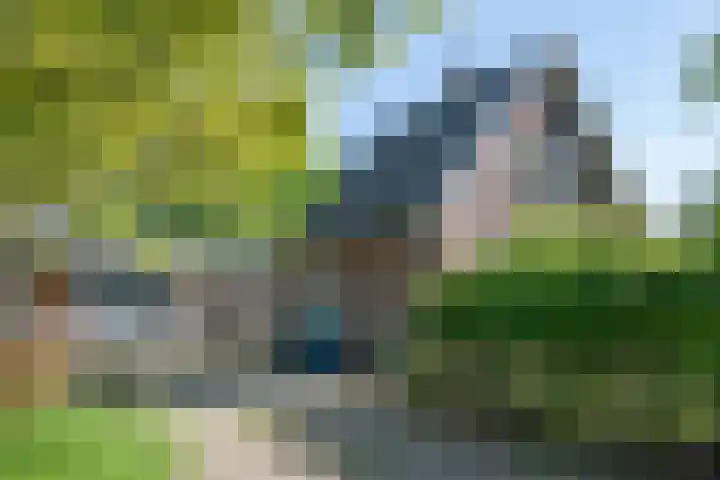 Heisterboomsdijk 12 Halle thumbnail 10