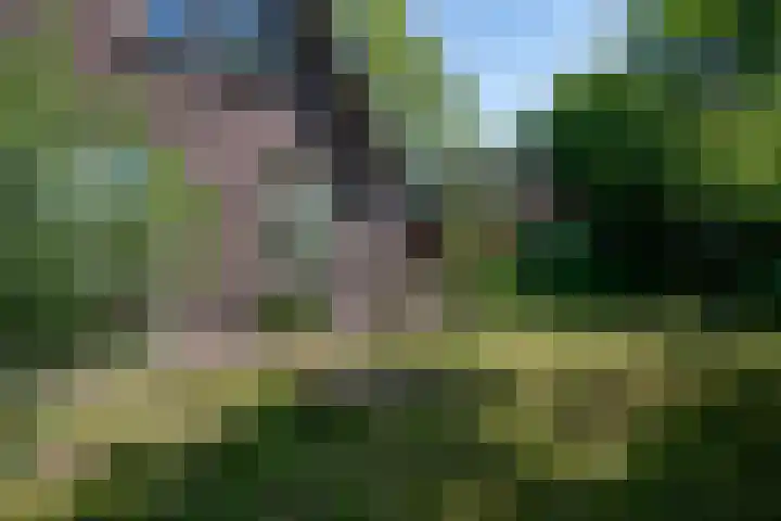 Heisterboomsdijk 12 Halle thumbnail 11