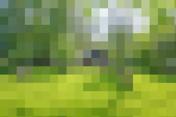 Heisterboomsdijk 12 Halle thumbnail 12