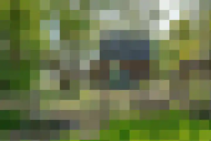 Heisterboomsdijk 12 Halle thumbnail 13