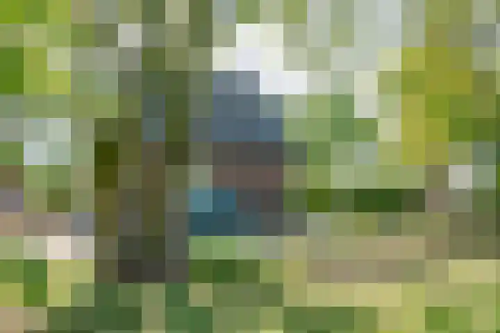 Heisterboomsdijk 12 Halle thumbnail 14