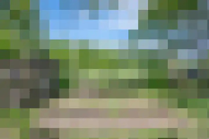 Heisterboomsdijk 12 Halle thumbnail 15