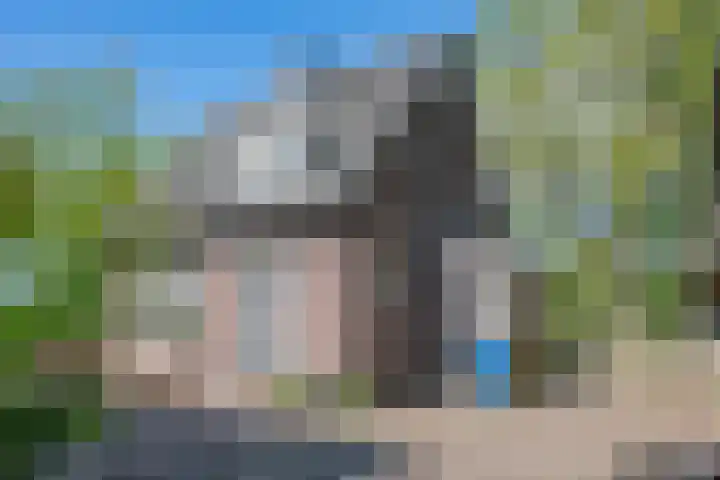 Heisterboomsdijk 12 Halle thumbnail 17
