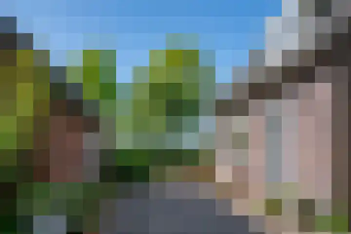 Heisterboomsdijk 12 Halle thumbnail 18